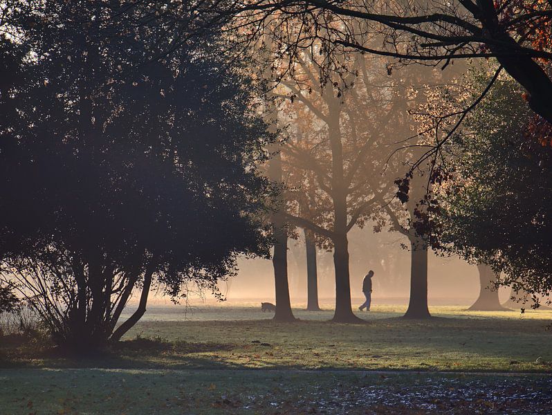 Brouillard matinal 18 par Edgar Schermaul
