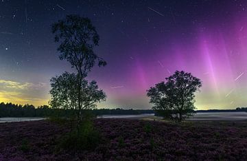 Magische Nacht auf der Heide: Perseidenregen und Nordlichter über einer mystischen Landschaft von Hevonax Photography