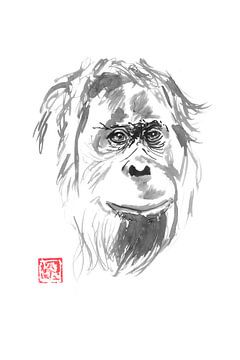 Orang-Utan von Péchane Sumie