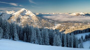 Winter im Tannheimer Tal. Schneebedeckte Landschaft in Richtung Oberjoch