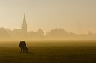 Koe in de Mist van Jaap Terpstra thumbnail