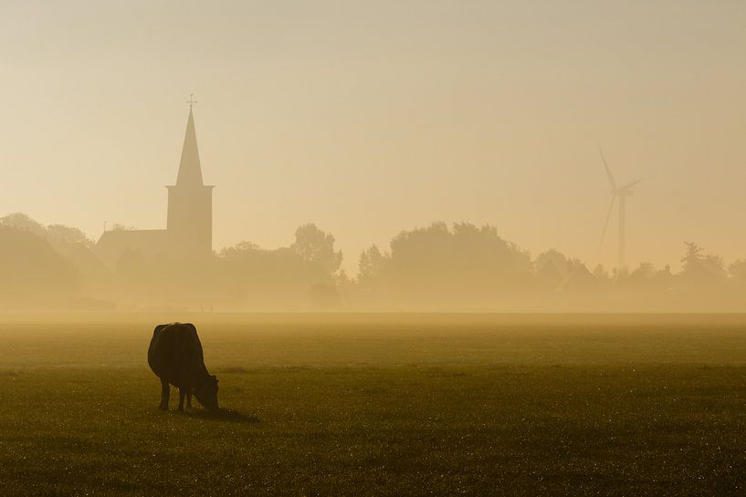 Koe in de Mist van Jaap Terpstra