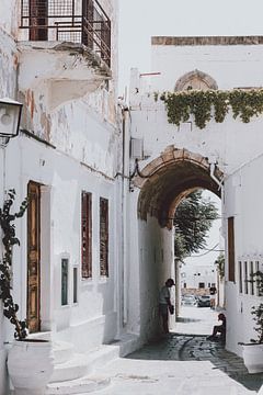 Lindos, the white village on Rhodes by Patrick Vossen