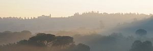 Früher Morgen in den sanften Hügeln der Toskana von Annavee