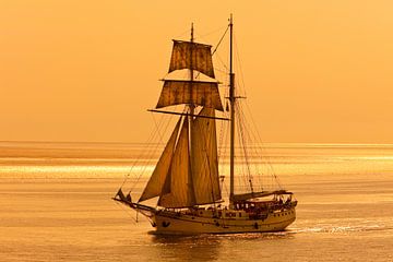 Segelschiff auf dem Wattenmeer. von Hennnie Keeris