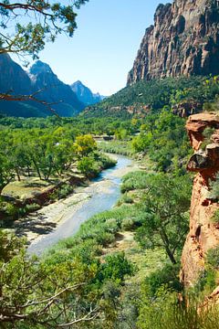 Landschaftsfoto von Canyon Oasis, Zion National Park USA von Martijn Schrijver
