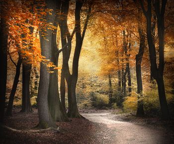 Accrochez-vous au bonheur