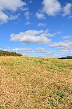 A field after the autumn harvest by Claude Laprise