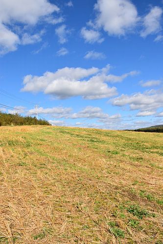 Un champ après les récoltes de l'automne