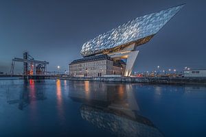 Hafenhaus in Antwerpen