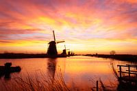 Kinderdijk bij zonsopkomst