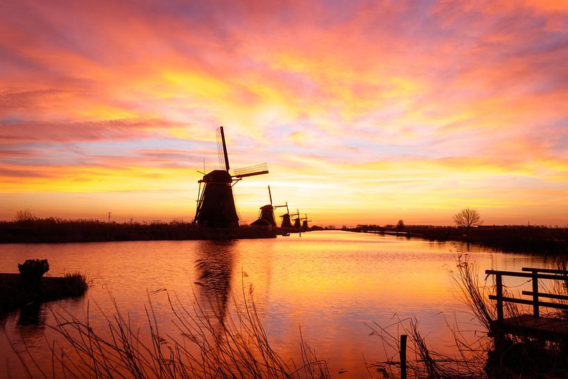 Kinderdijk von Rob Saly