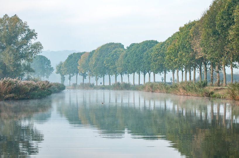 Fog in the Ooijpolder by Nancy van Verseveld