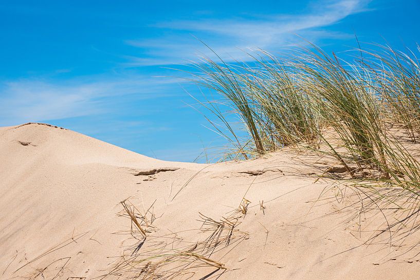 Dünenbild von SusaZoom