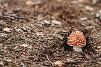 Red with white dots