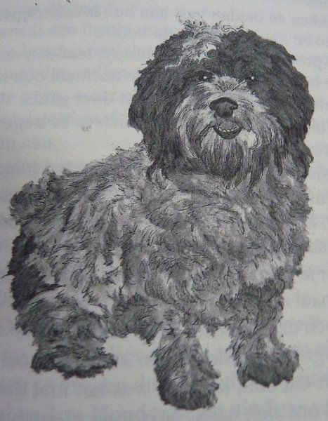 Jazzy by Jose Beumers