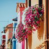 Fleurs de fenêtre à Burano, Venise, Italie sur Pitkovskiy Photography|ART