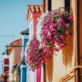Fensterblumen in Burano, Venedig, Italien von Pitkovskiy Photography|ART