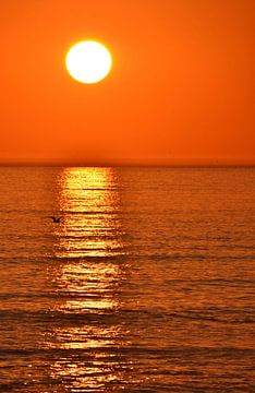 Sonnenuntergang am Blouberg strand von Werner Lehmann