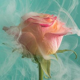 Frühling! Tanzend mit dem Rauch von Marjolijn van den Berg