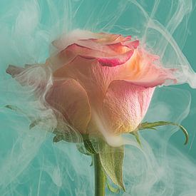 Frühling! Tanzend mit dem Rauch von Marjolijn van den Berg