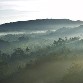 Mount Agung Tropisch van Bianca ter Riet