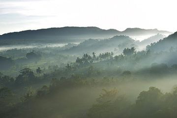 Mount Agung Tropisch van Bianca ter Riet