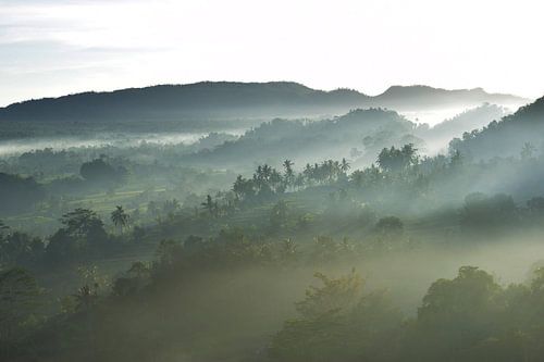 Mont Agung Tropical sur Bianca ter Riet