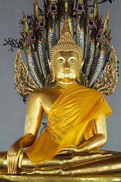 Boeddha Gautama op het moment van verlichting van Walter G. Allgöwer