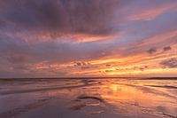 Golden Glow!