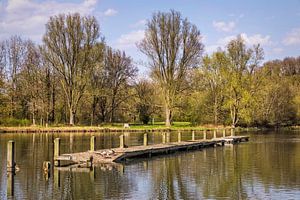 Visvijver Valkenburg van Rob Boon