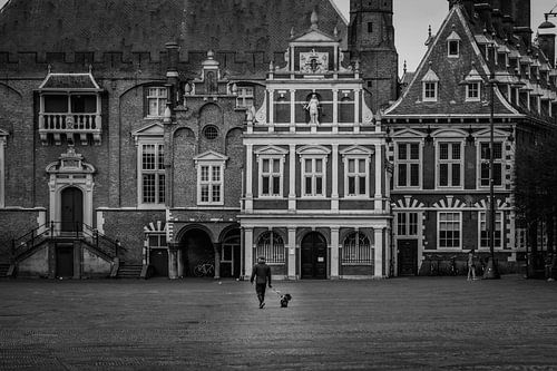 Grand marché | Haarlem