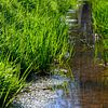 Belle impression photo naturelle d'un paysage de ruisseau à Valkenswaard sur Kristof Leffelaer