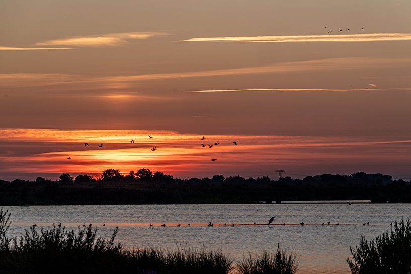 Sunset at 'T Roegwold by Joeri Imbos