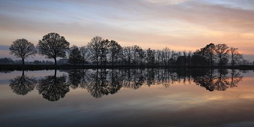 Reflectie. sur Patrick Brouwers