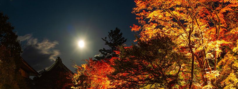 Full moon in Japan by Stefan Havadi-Nagy