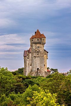 Kasteel van Liechtenstein van Roland Brack