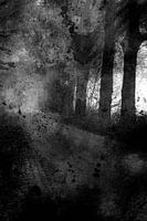 Abstract landscape
