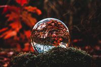 lensball