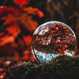 lensball van b.dutch