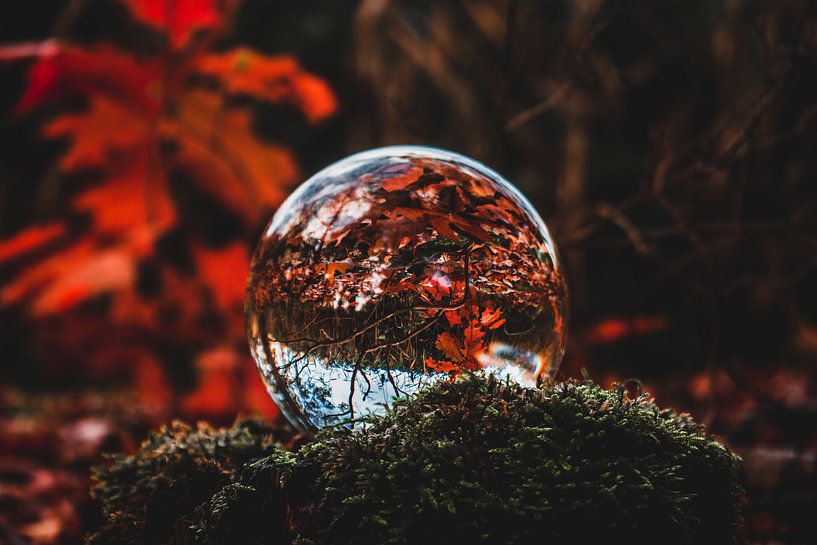 lensball by b.dutch