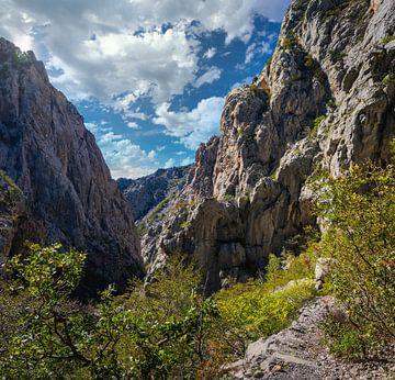 Schlucht in Nationalpark Paklenica, Kroatien