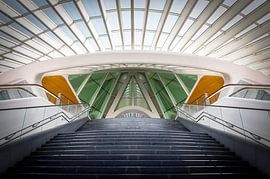 Entrance by Anita Martin, AnnaPileaFotografie