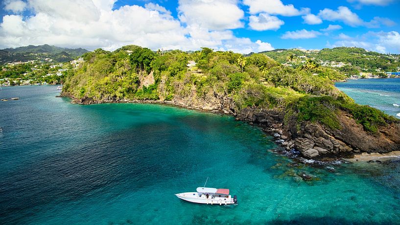 Gezicht op Fort Duvernette op St. Vincent in het Caribisch gebied van Andreas Völkel