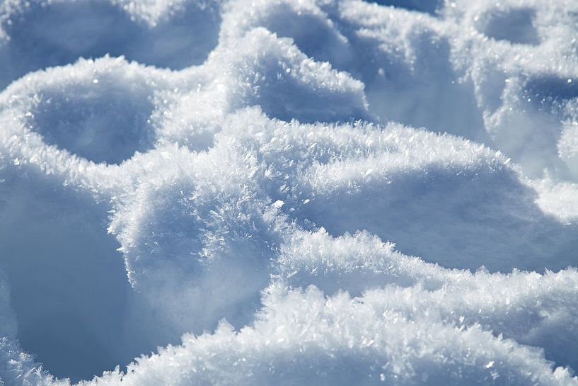 Snow by Bo Valentino