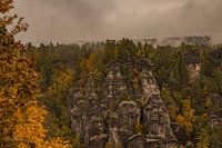 Herbstnebel über dem Elbsandstein – Magie der Sächsischen Schweiz