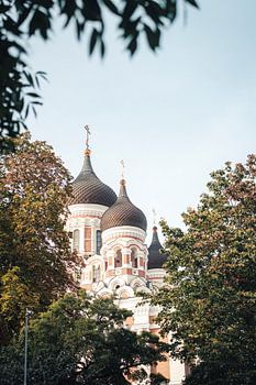 The Domes of Tallinn – Alexander Nevsky Cathedral