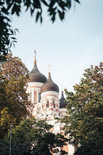 De Koepels van Tallinn – Alexander Nevski-kathedraal