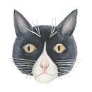 Zwart witte kat aquarel witte achtergrond van Yvette Stevens thumbnail