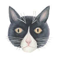 Zwart witte kat aquarel witte achtergrond